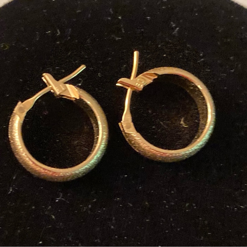 Elegant Gold Tone Hoop Earrings